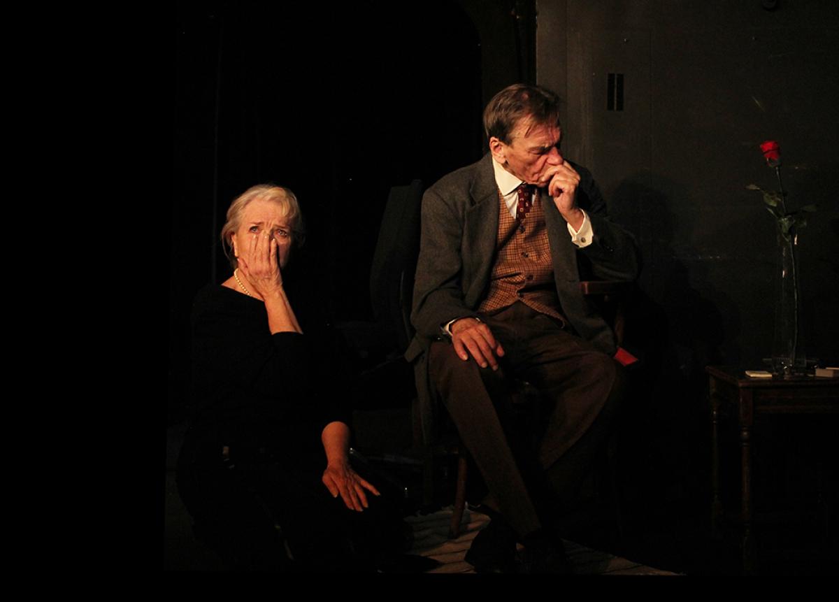 Fotografie z inscenace - Pardál