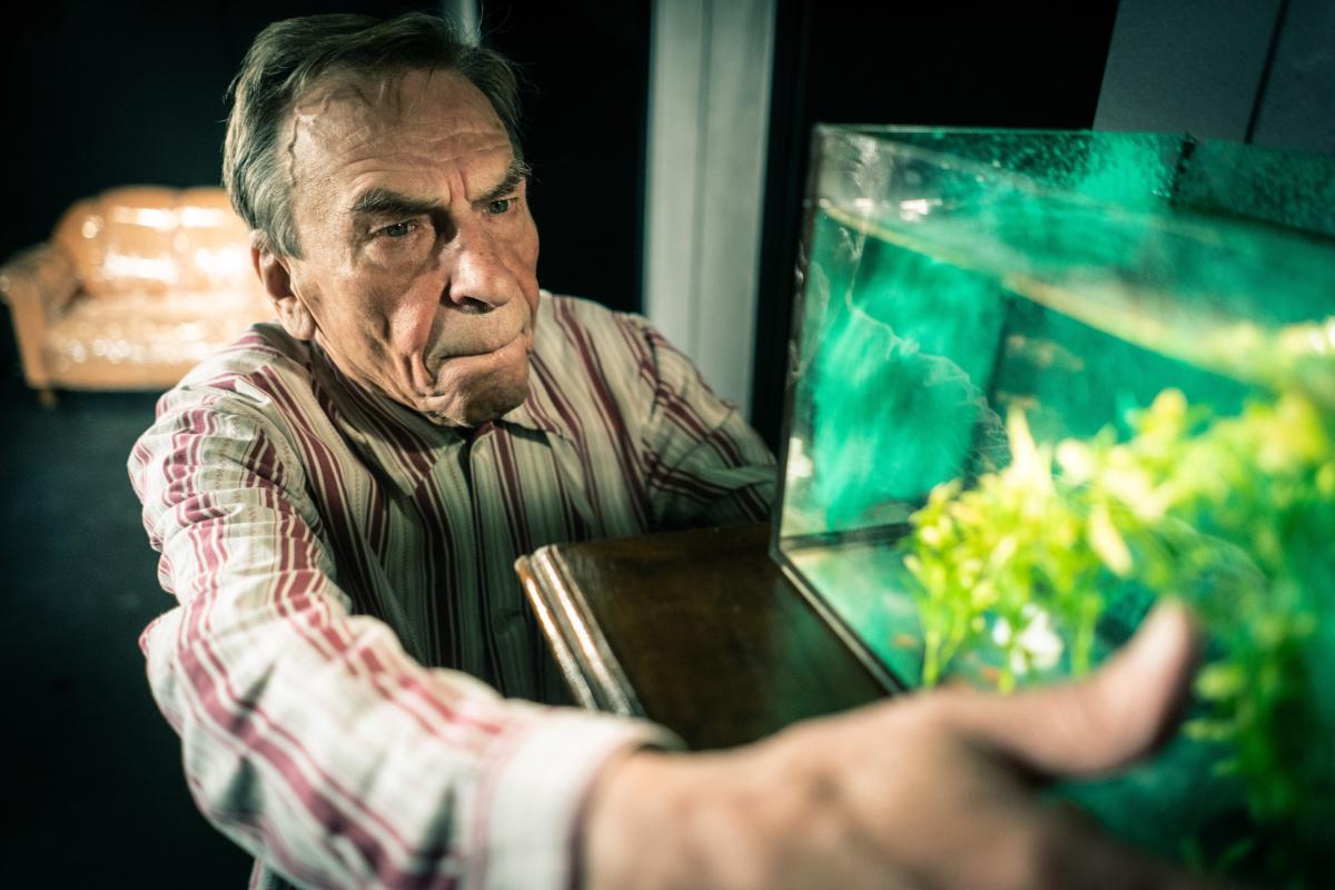 Fotografie z inscenace - To mám ale kliku