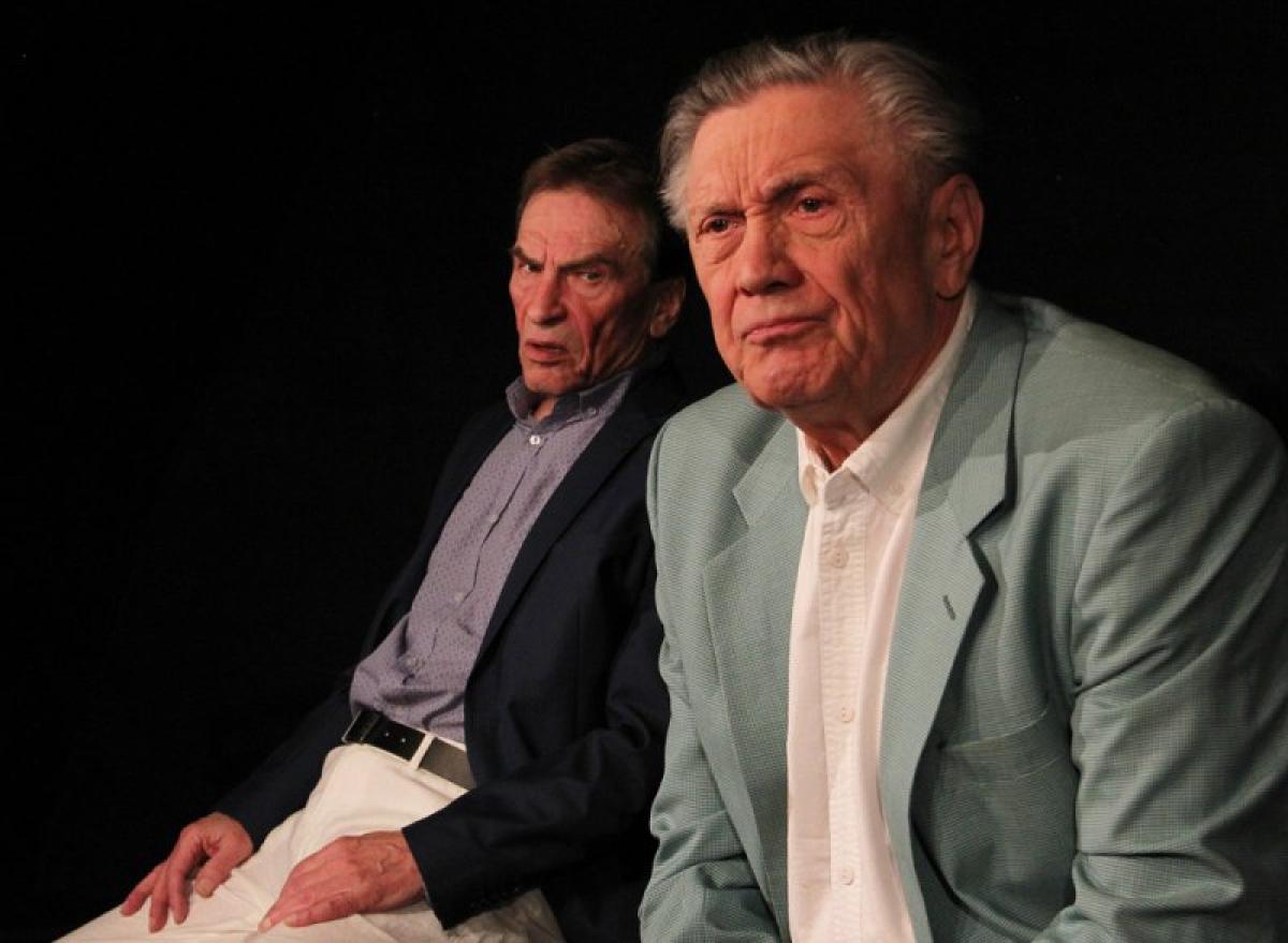 Pan Halpern a pan Johnson