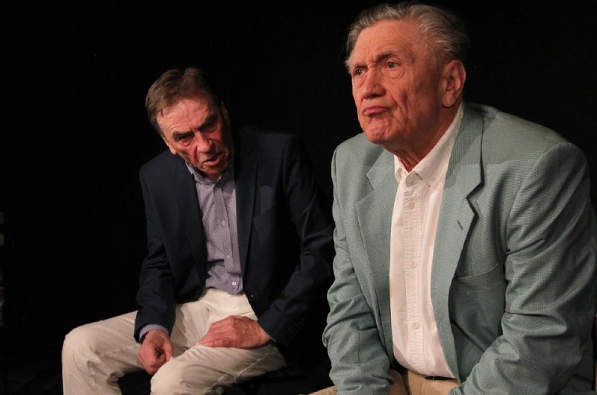 Pan Halpern a pan Johnson