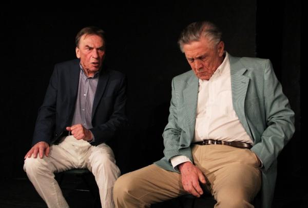 Pan Halpern a pan Johnson