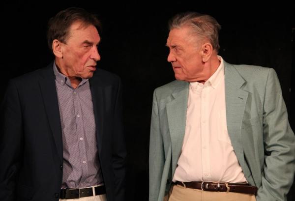 Pan Halpern a pan Johnson