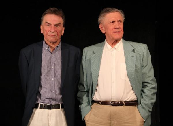 Pan Halpern a pan Johnson